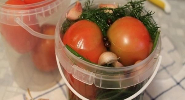 7 Jednoduchých receptů, jak správně naložit rajčata do kyblíku na zimu